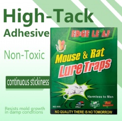 900mouse glue trap