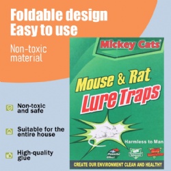 14930-Amouse glue trap