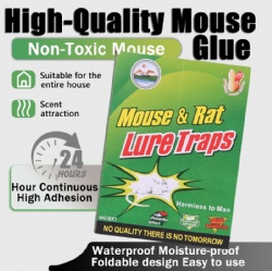 BX1Mouse Glue Trap