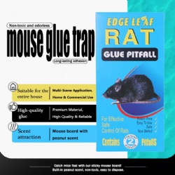 GO-205mouse trap sticker