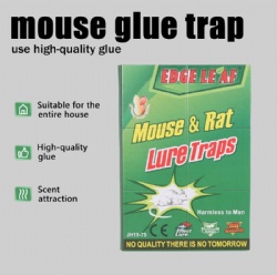 JH15glue mouse trap