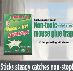 JH17mouse trap sticker