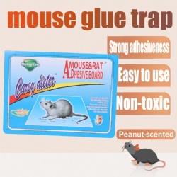 F7 Sticky Mouse Trap