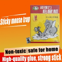 B016 Mouse Glue Trap
