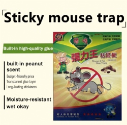 LY-AAAAA Mouse Glue Board