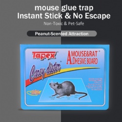 F8 Sticky Mouse Trap