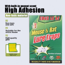 Mouse Glue Board 8003