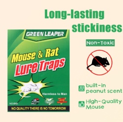 Mouse Glue Board B68